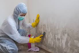 Why You Should Choose Our Mold Remediation Services in Forest View, IL